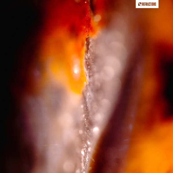 Cover art for Umbra